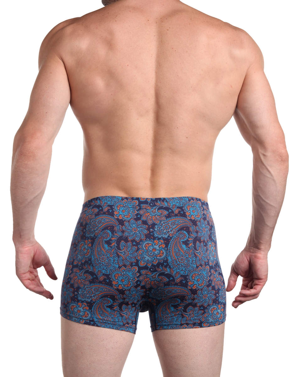 Трусы мужские SERGIO DALLINI 2942-2 Трусы мужские SERGIO DALLINI 2942-2