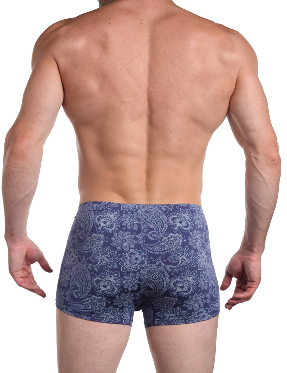 Трусы мужские SERGIO DALLINI 2942-5 Трусы мужские SERGIO DALLINI 2942-5