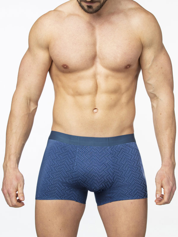 Трусы мужские SERGIO DALLINI SG2925-2
