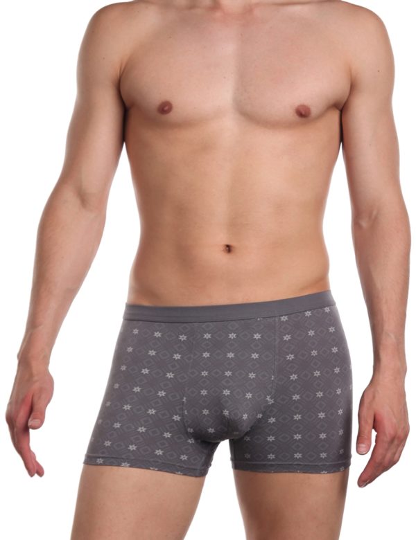 Трусы мужские SERGIO DALLINI SG2936-3